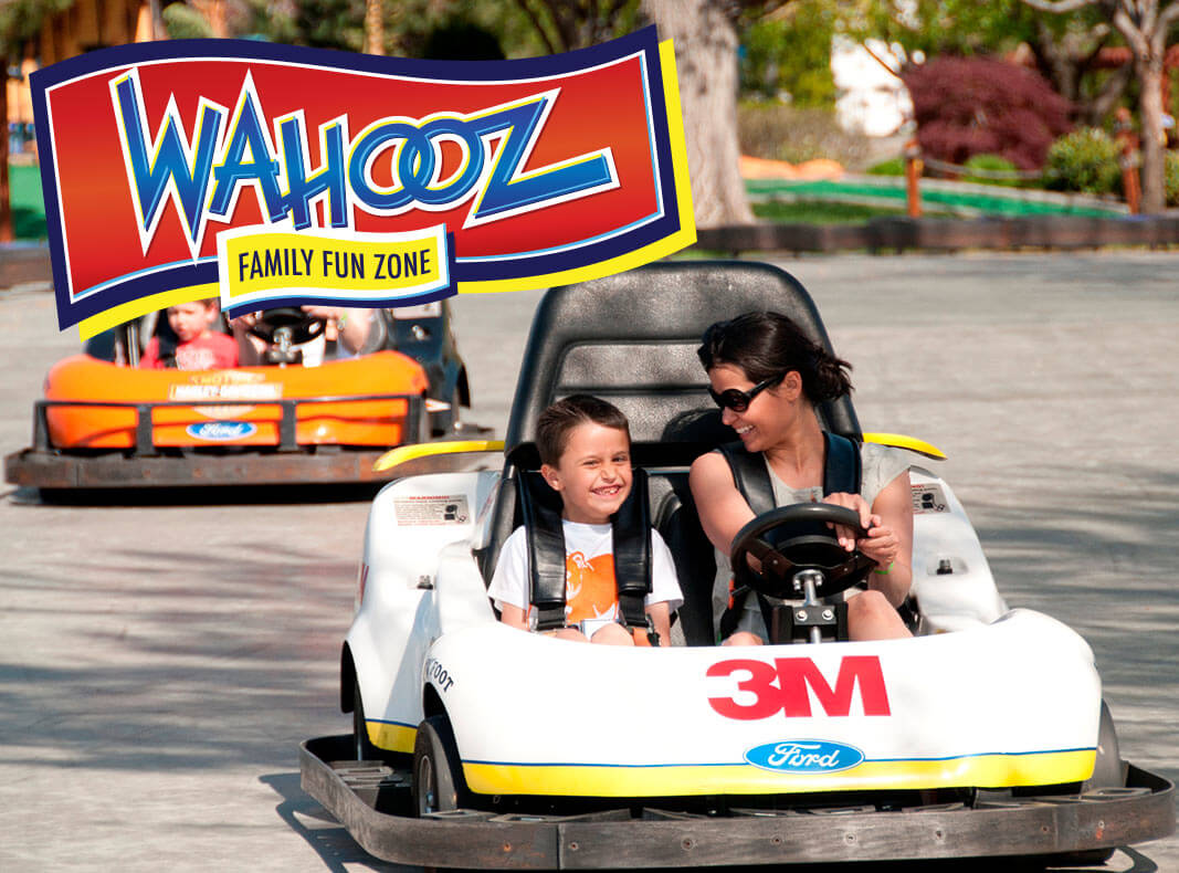 mom son go kart